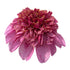 files/EVPuff-N-Stuff_02_1000.jpg