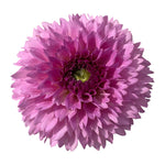FERNCLIFF PINCUSHION