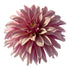 RIVER'S ARTICHOKE